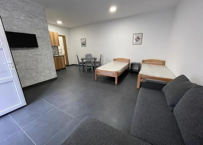 Apartament Milenko Bela Crkva (Banat)